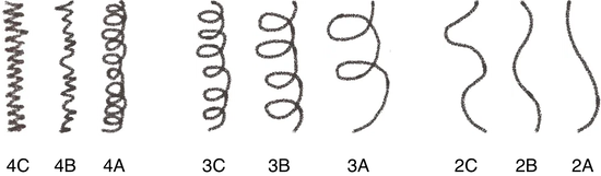 hair type and curl pattern chart