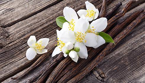 How to use vanilla beans?