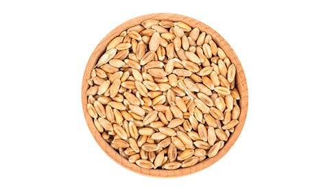 Wheat protein benefits