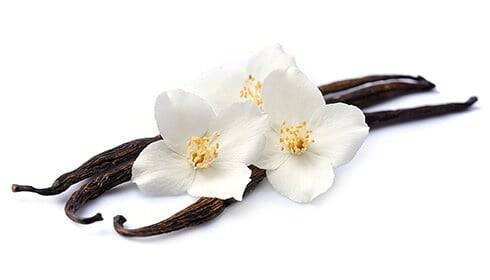 Vanilla bean benefits