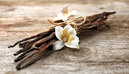 What is Vanilla Bean?