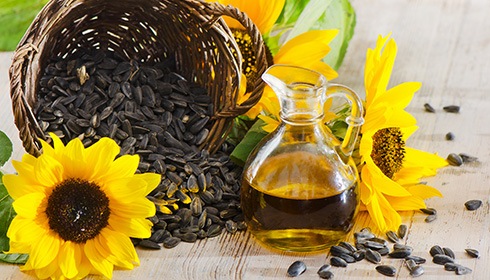 What it Sunflower Oil?