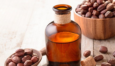 What is Jojoba Oil?