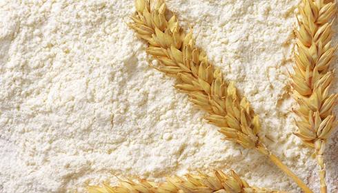 What is Wheat Protein?