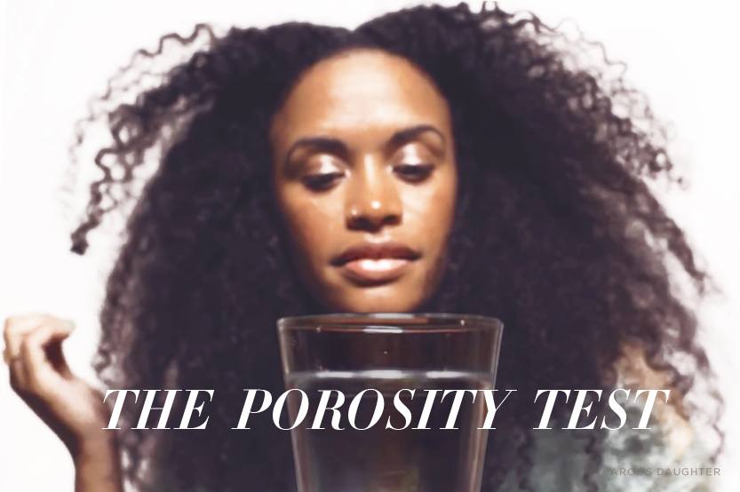 Types Of Hair Porosity Hair Porosity Test Carol S Daughter