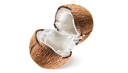 Coconut Milk Benefits