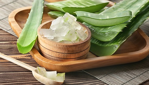 What is Aloe Vera?