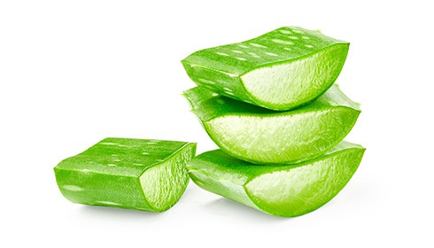 Aloe Vera Benefits